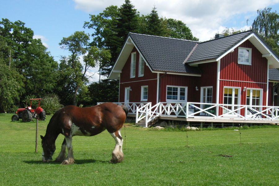 Außenansichten des Ferienhauses